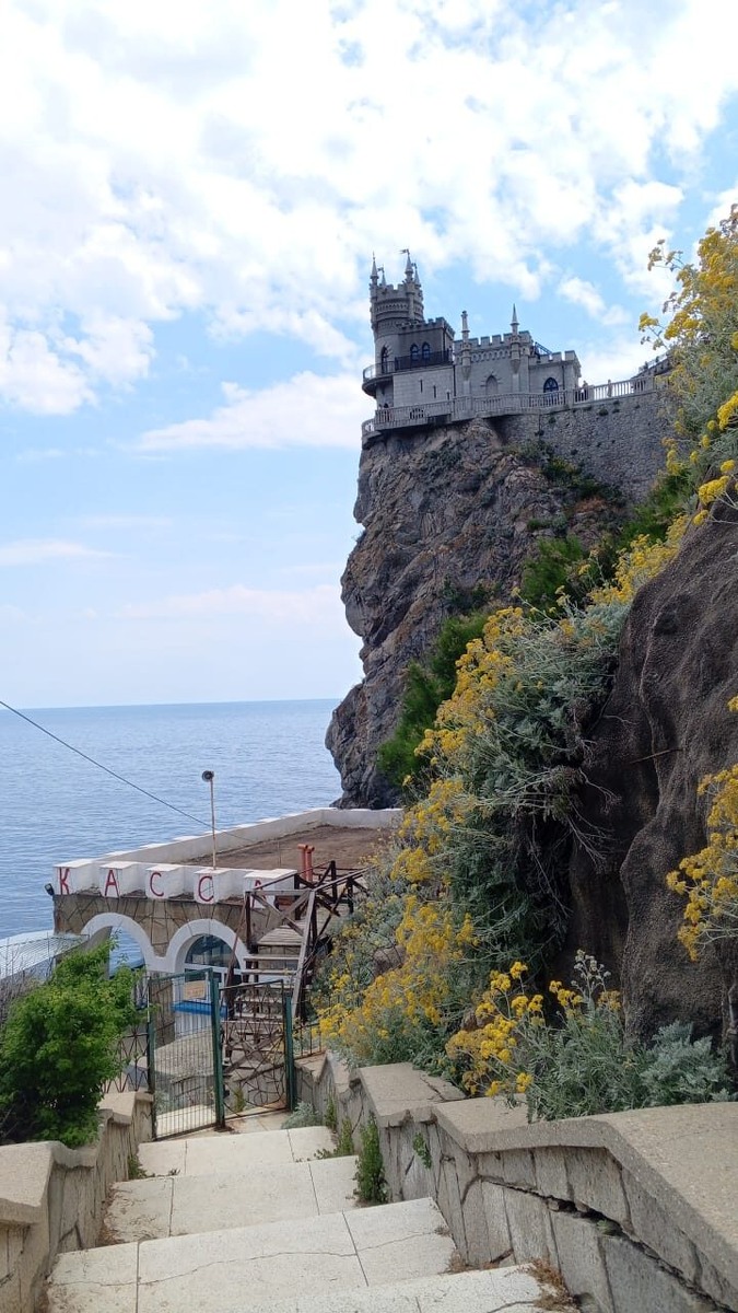 Фото автора. Июнь 2025г.