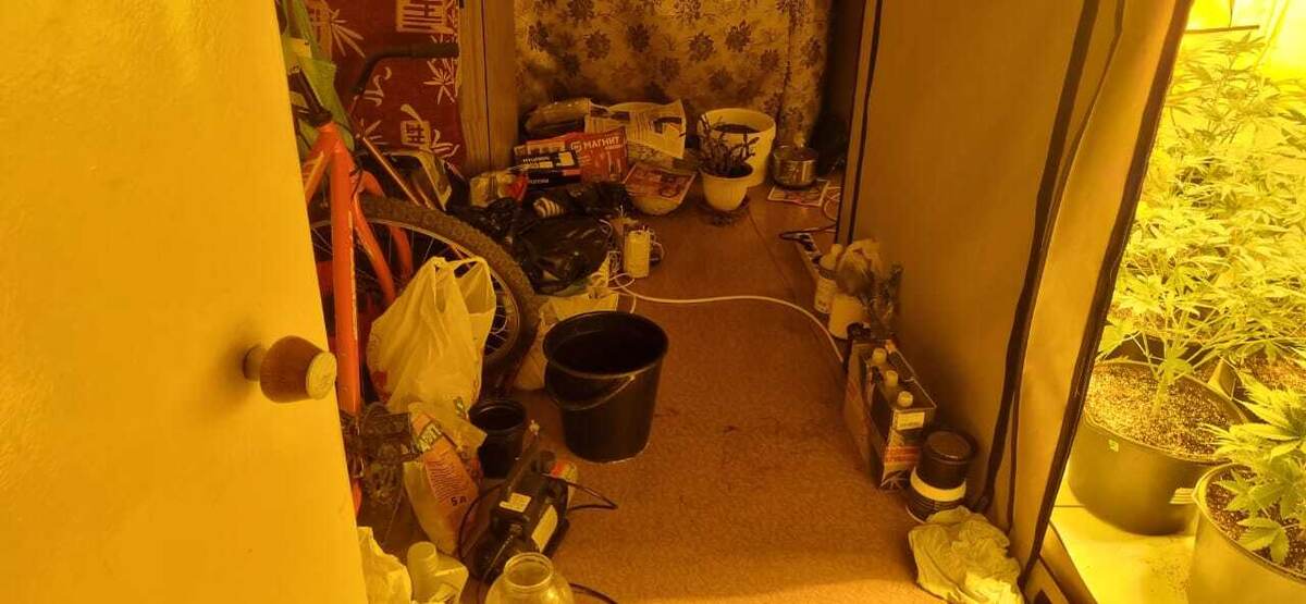 Автор фото: пресс-служба МВД по РТ