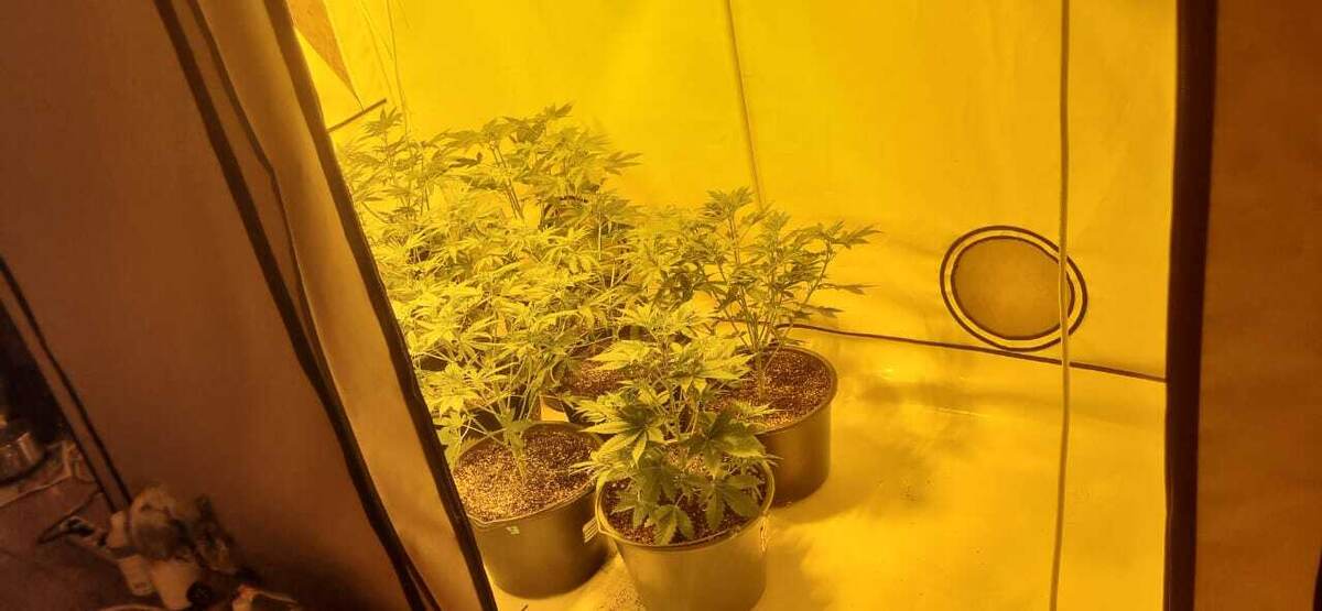 Автор фото: пресс-служба МВД по РТ