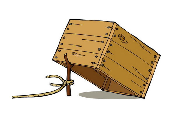 Вы оформили «бесплатную» карту.