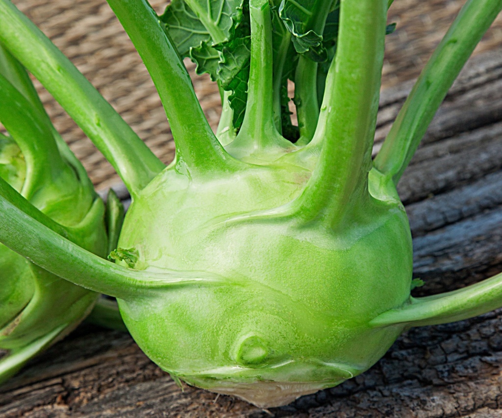  Капуста кольраби Венская белая