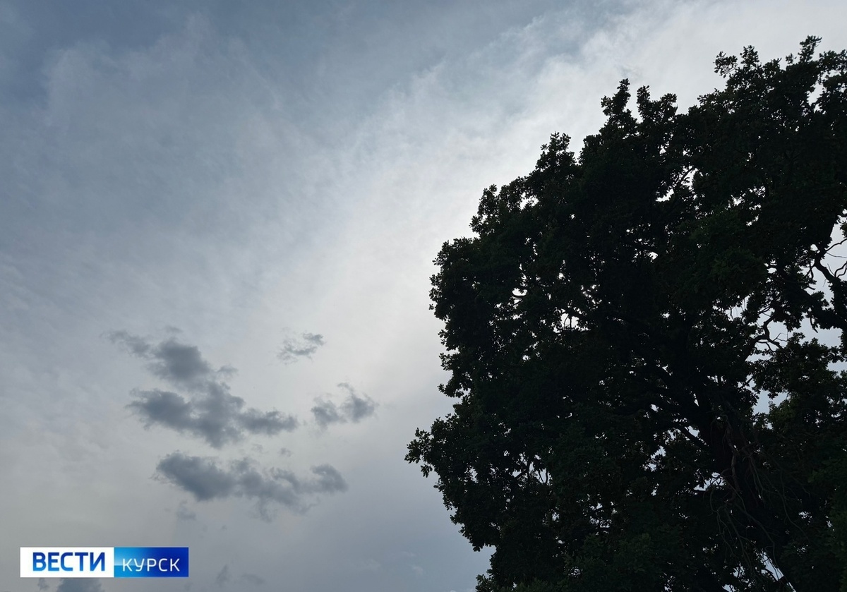    СК России расследует преступления ВСУ против мирных жителей Курской области