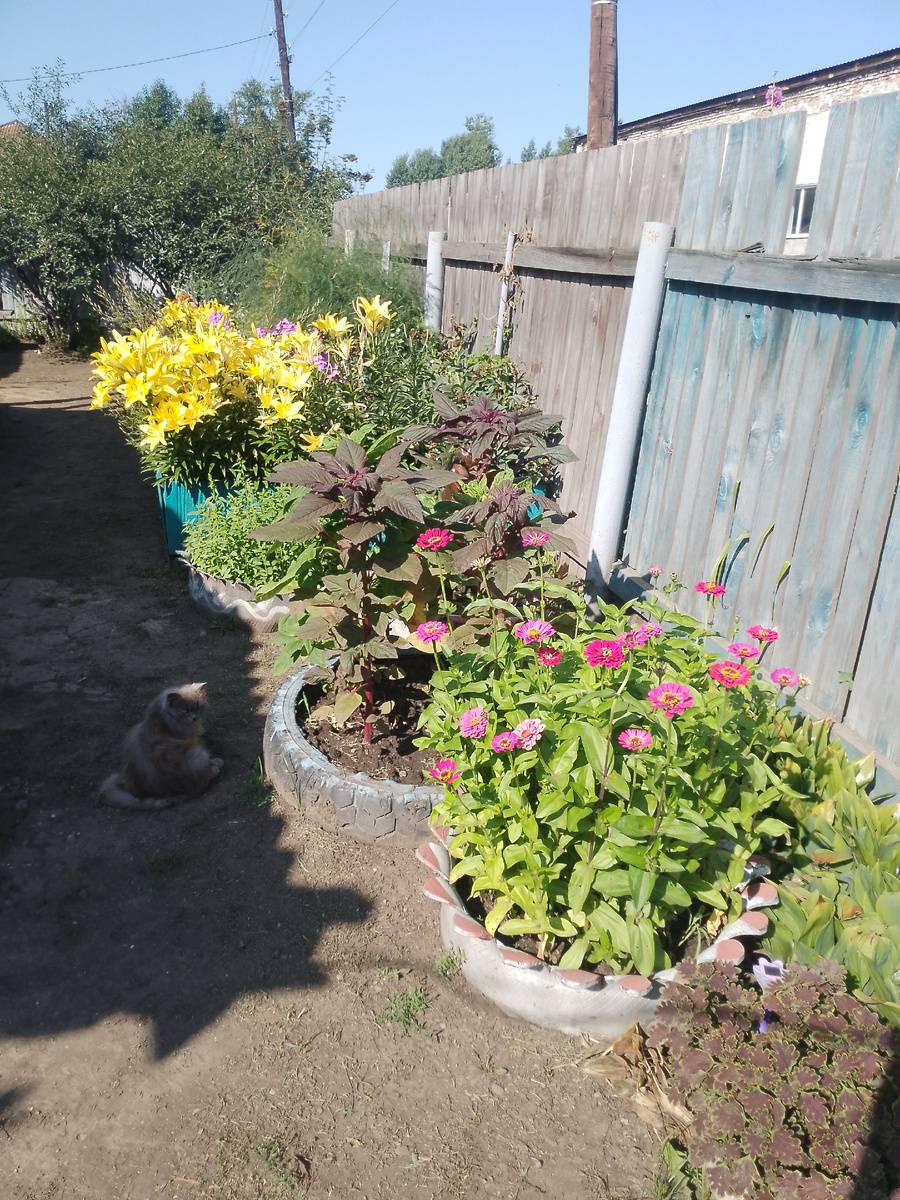 Фото автора. 