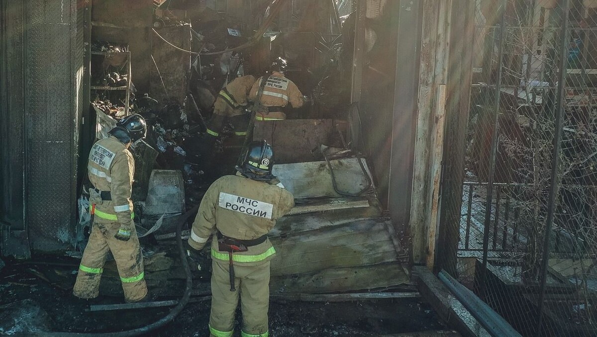     Источник: 1MI