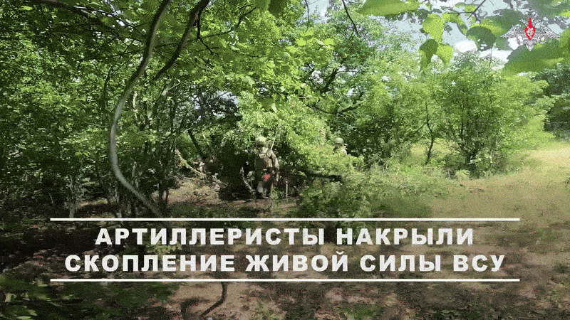 Расчет буксируемой гаубицы Д-30 уничтожил живую силу противника//Видео с официального ТГ-канала Минобороны