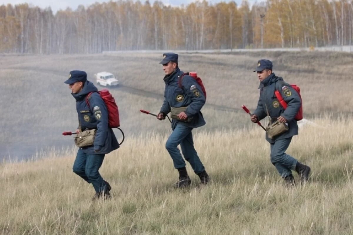    В лесах Пермского края до сентября ввели особый противопожарный режим