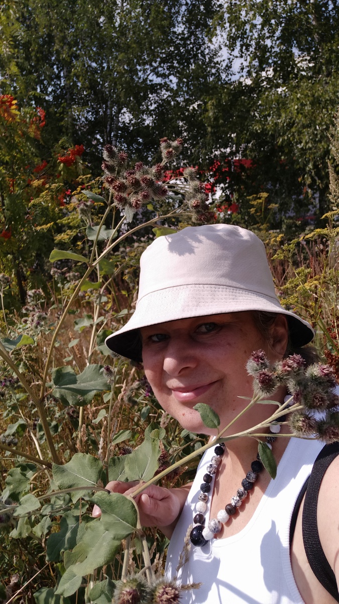 Лопух и рябина – то, что меня притянуло сегодня