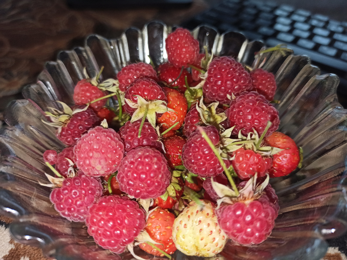 Фото автора. 