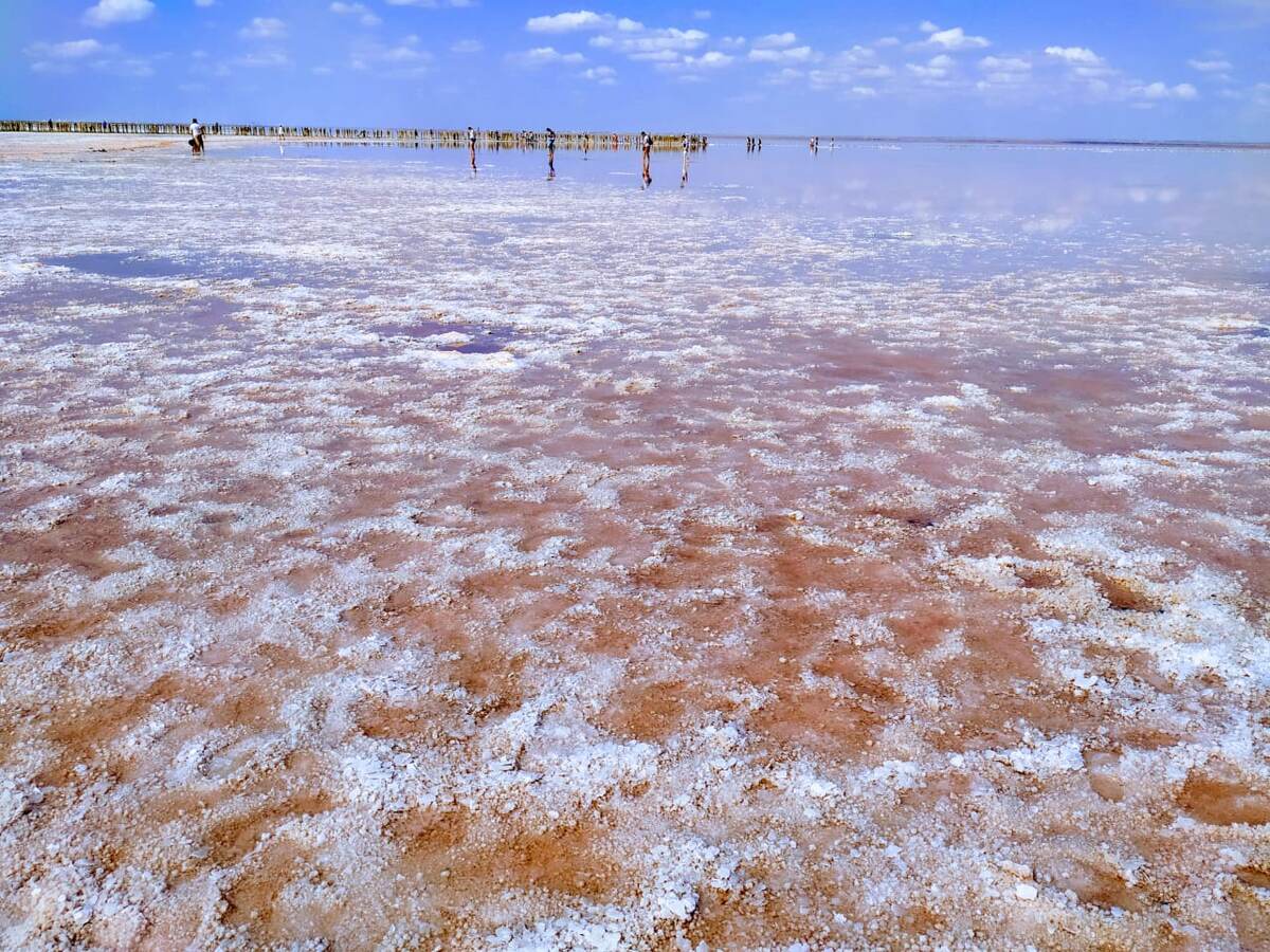 Фото: © Irina Cherkun