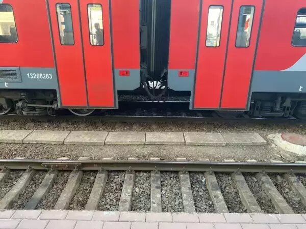    Фото: Ростов ру Веселовские вести