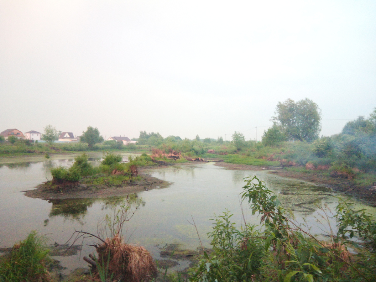 Один из наших водоемов - здесь, по легенде, под илом бревенчатое дно
