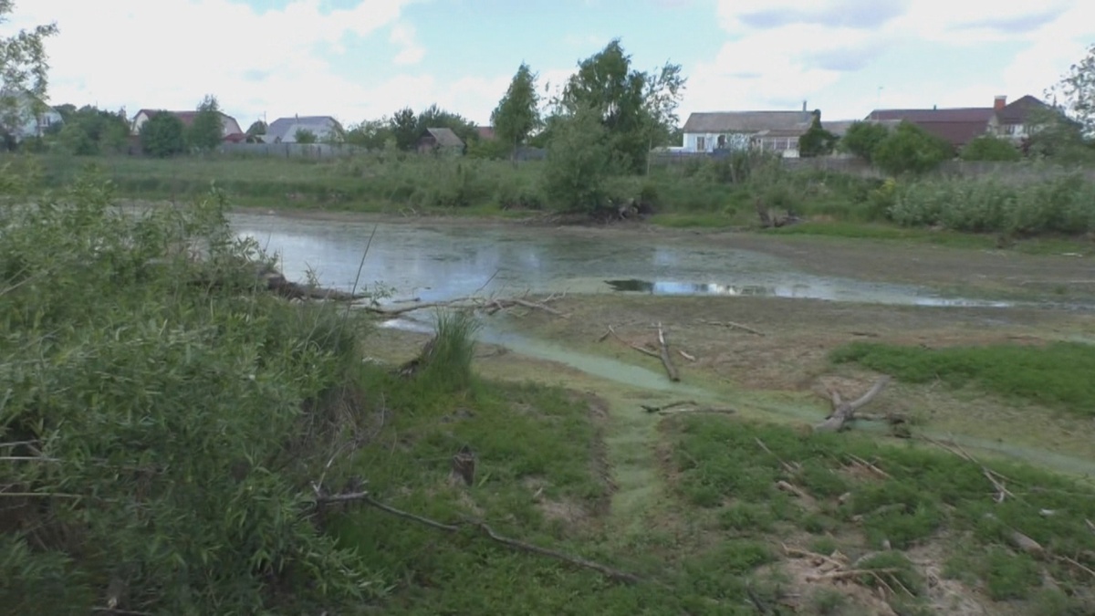 И здесь тоже где-то бревна на дне...