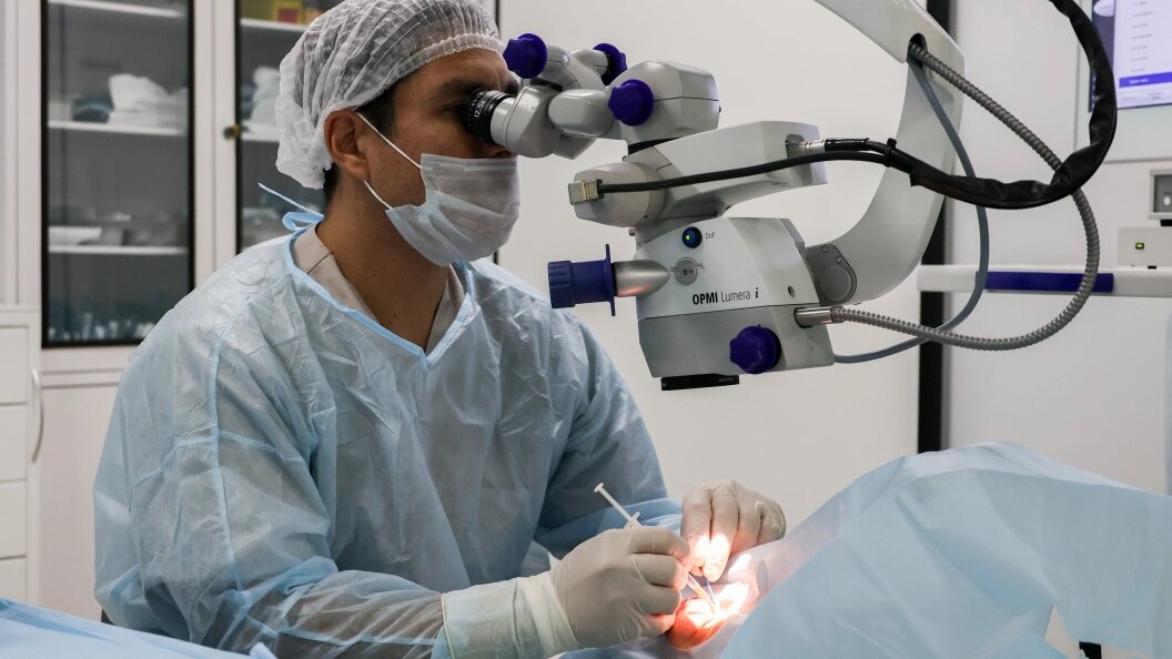    Петров Сергей/Globallookpress