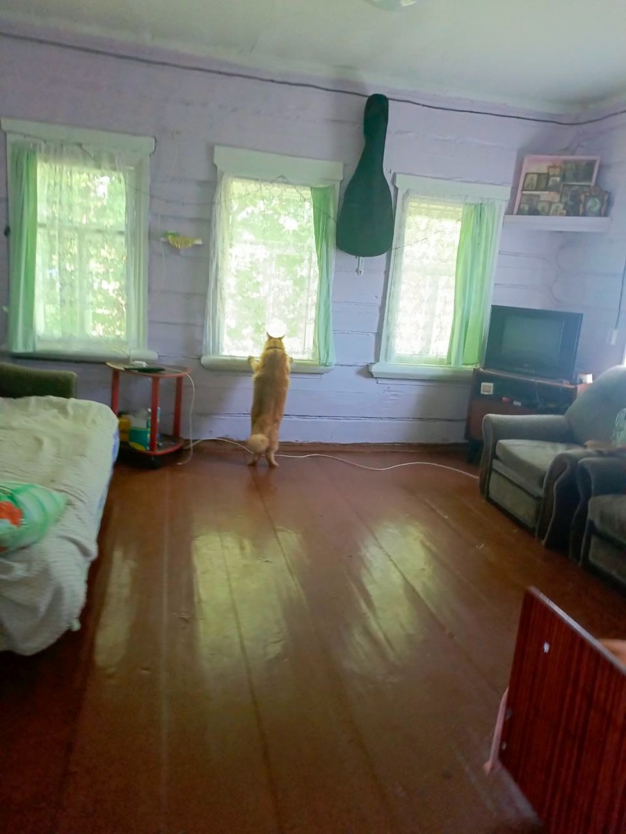 Симбон  в деревне, смотрит в окно. 