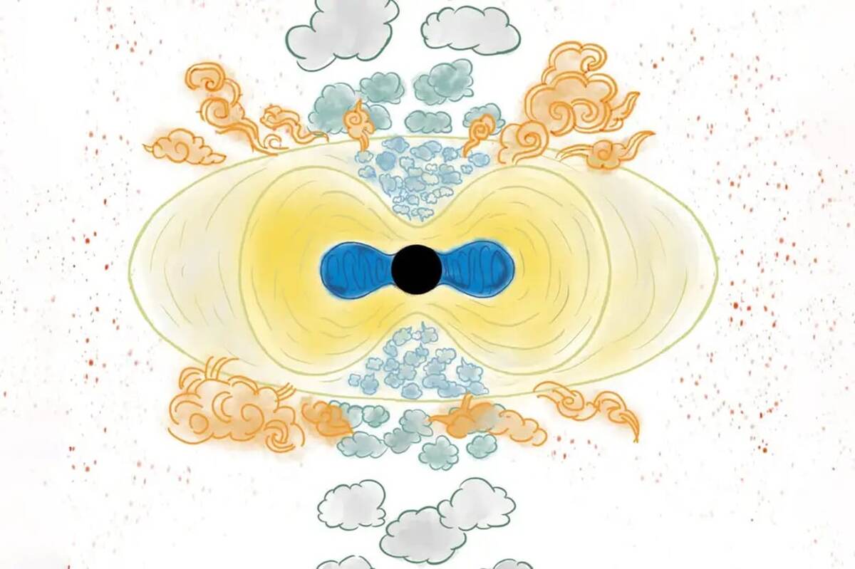 
Диаграмма, показывающая, что, по мнению исследователей, могут представлять собой «маленькие красные точки», с черной дырой в центре, окруженной большой газовой оболочкой (желтый цвет), газовыми потоками, облаками и пылью / © Cass Fan and Xiaojing Lin