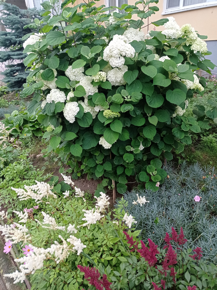 Доброе утро! 