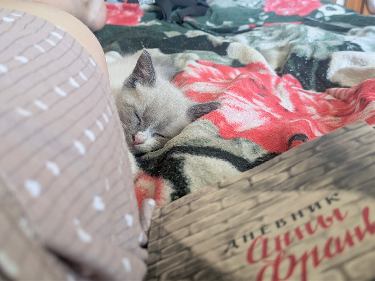 Отдыхаем с Дымком