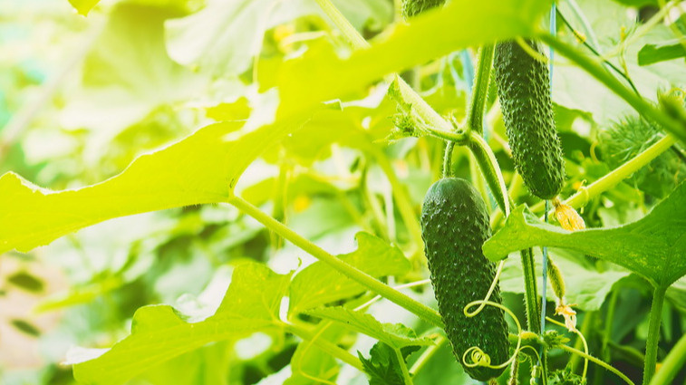 Июльские проблемы исчезли как по волшебству. 