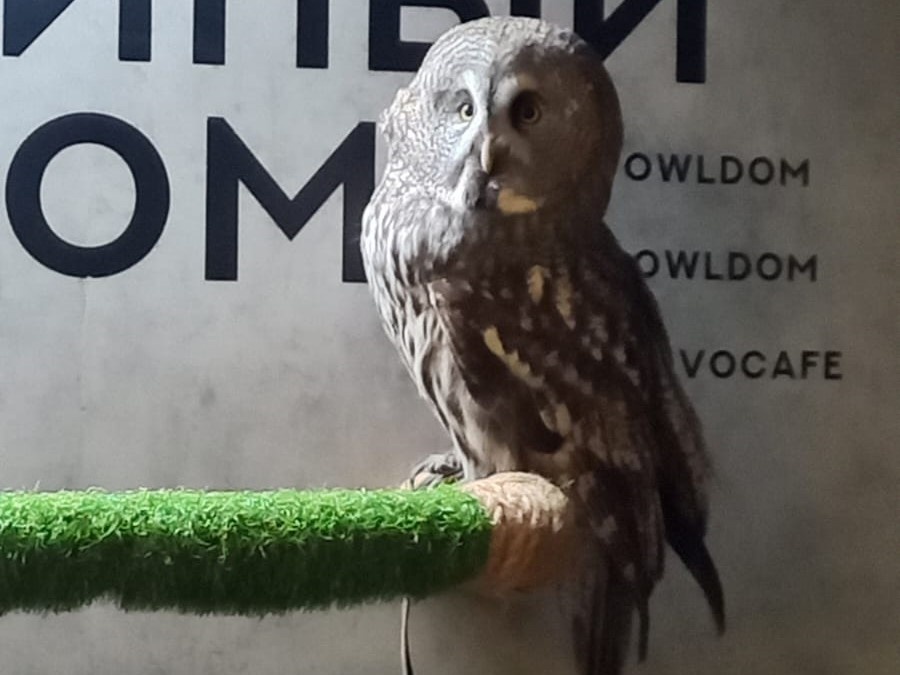 Все фото в статье автора