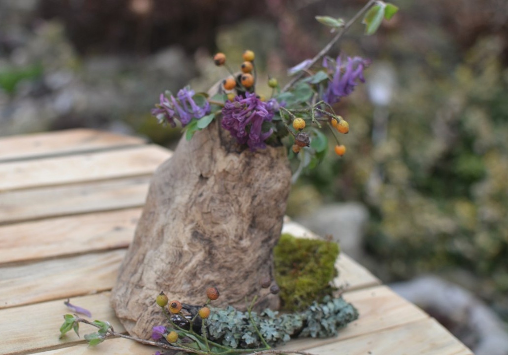 Хохлатка и плоды розы