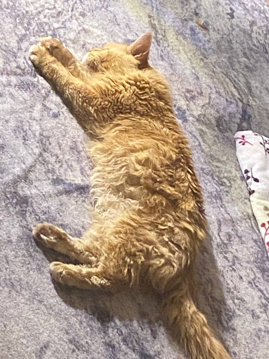 Это просто сон золотой.