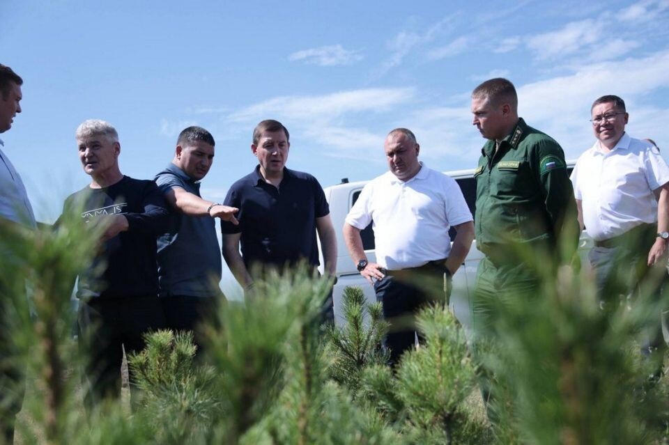     В Республике Алтай увеличат финансирование лесной отрасли. Источник: altai-republic.ru