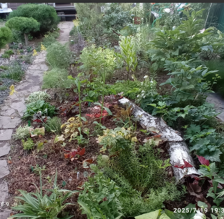 пока очередной перерыв