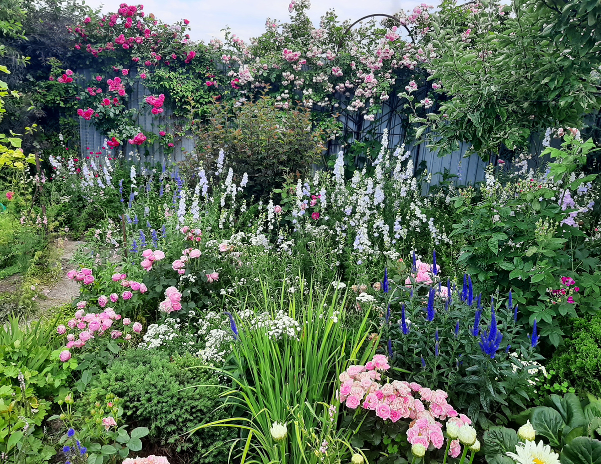 Маловато розового...