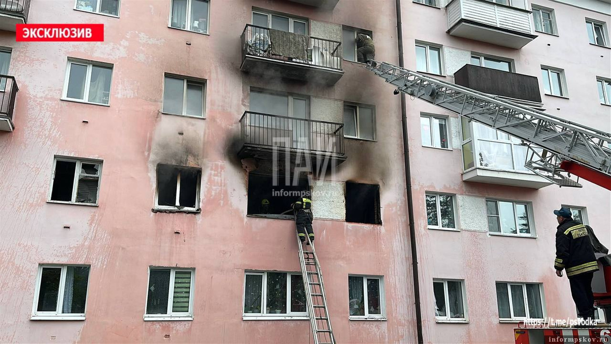 Фото: телеграм-канал «Псковская сводка. ПАИ».