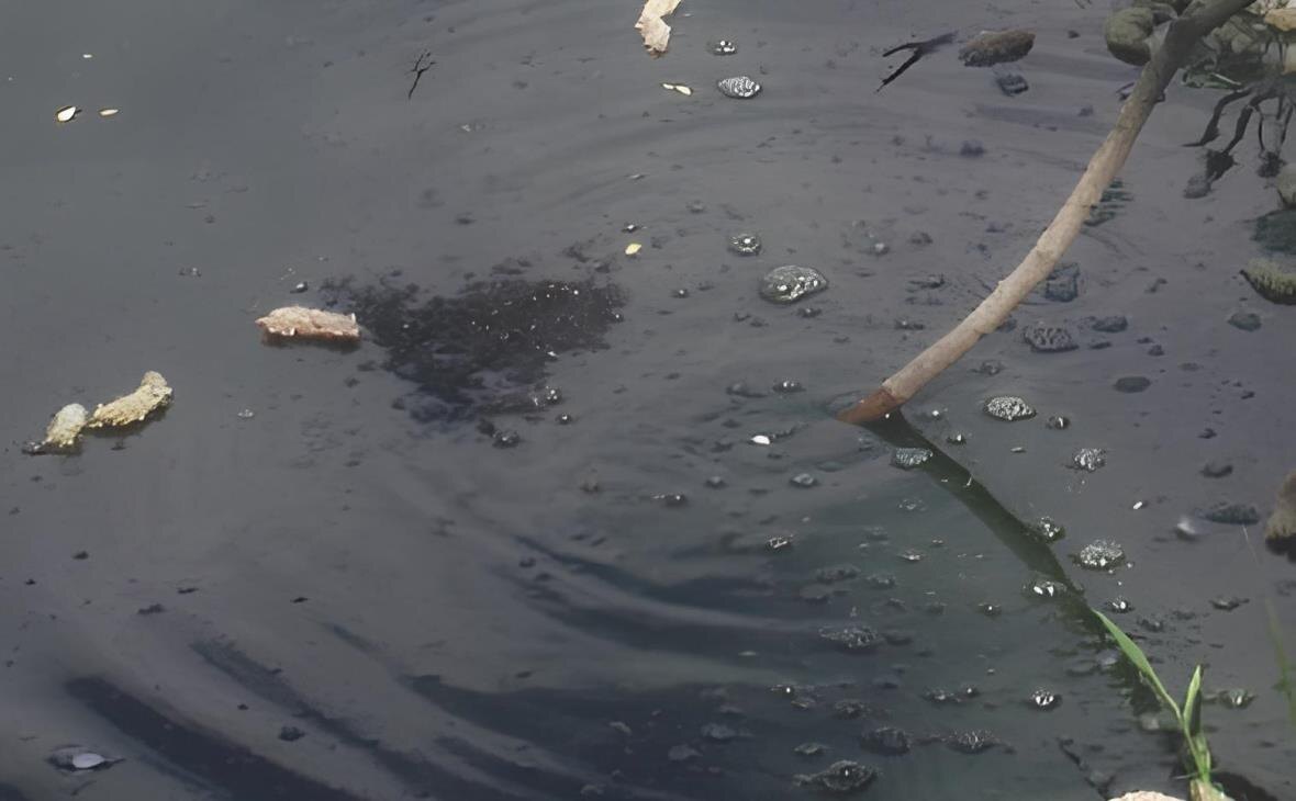 Фото: РБК Черноземье