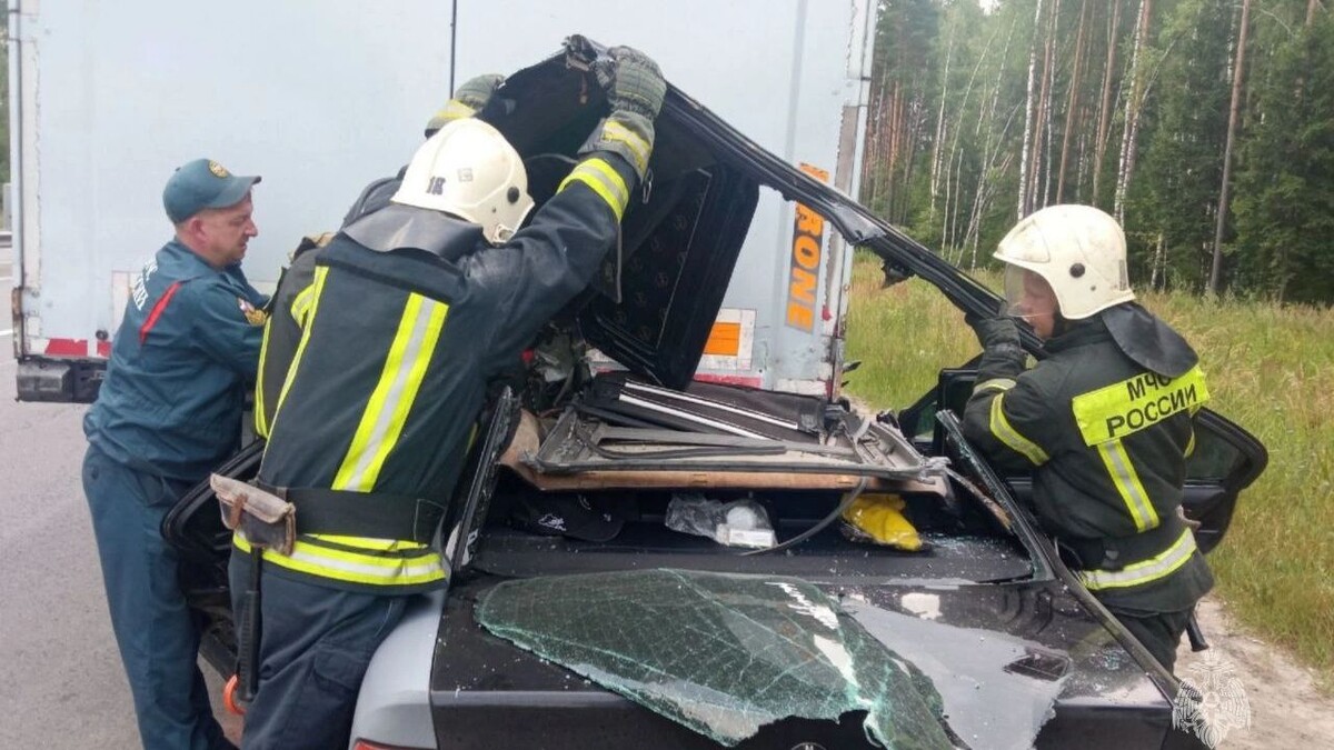    Фото: t.me/mchs33