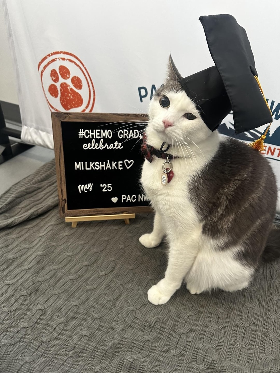 Источник: redd.it