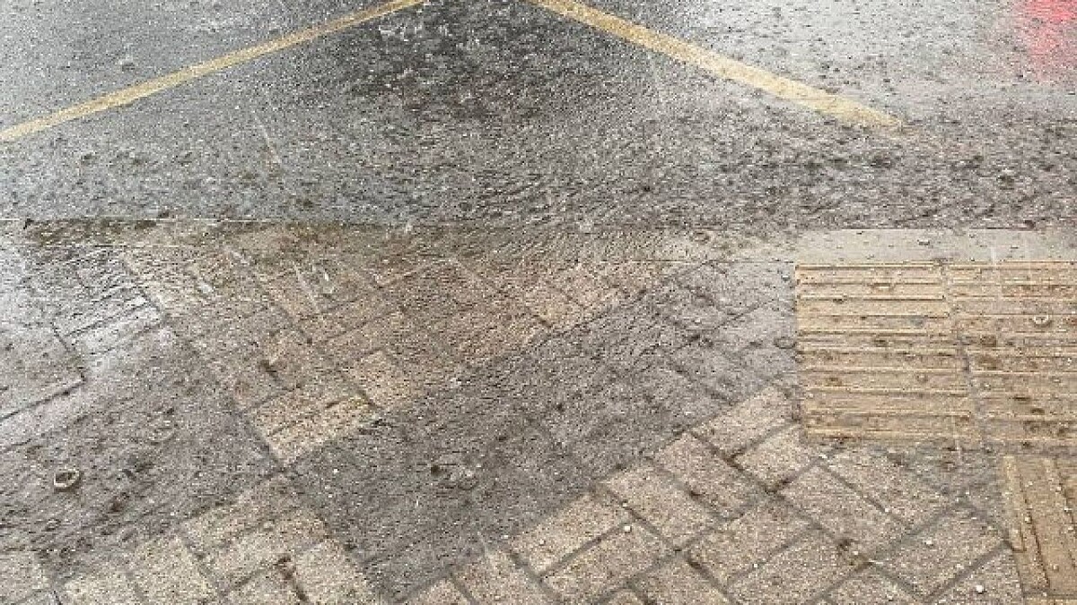    Фото: телеканал «Краснодар»