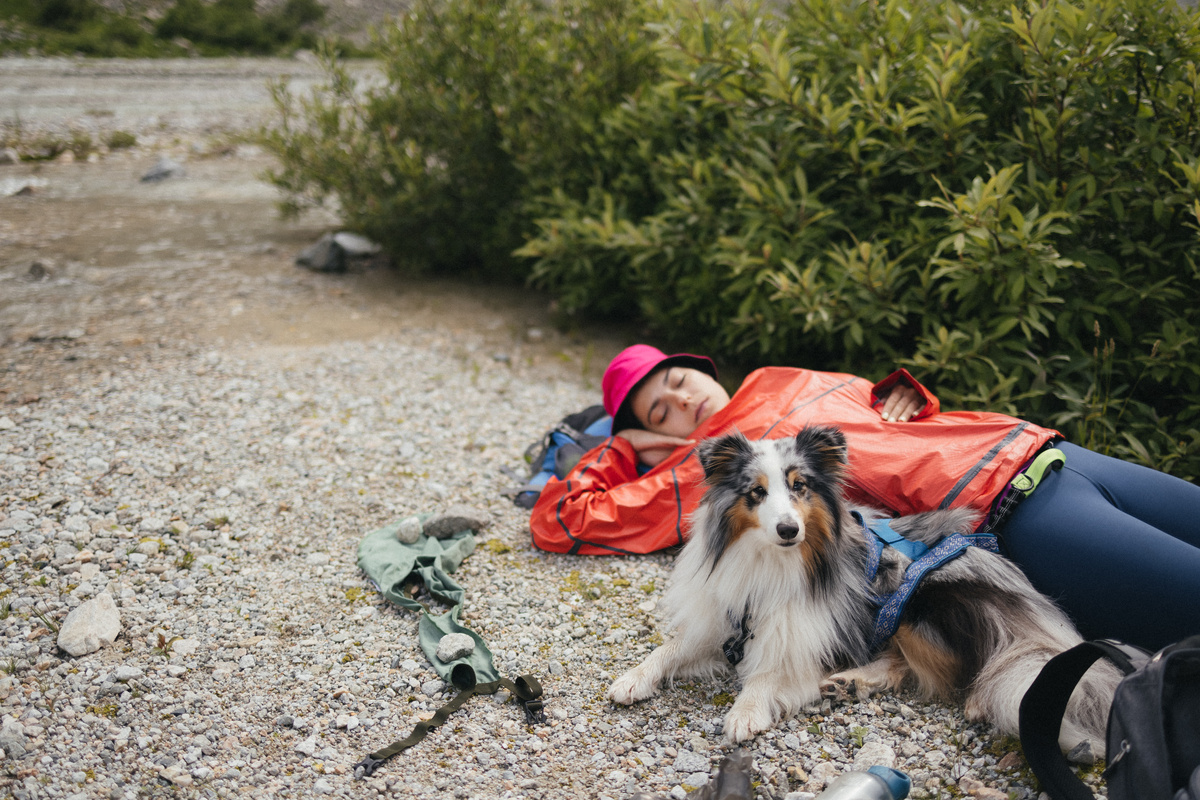 Превал 🤣🤣🐾