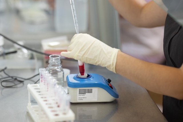    В Югре внедрили скрининговый тест для выявления генетических аномалий у еще не рожденных детей