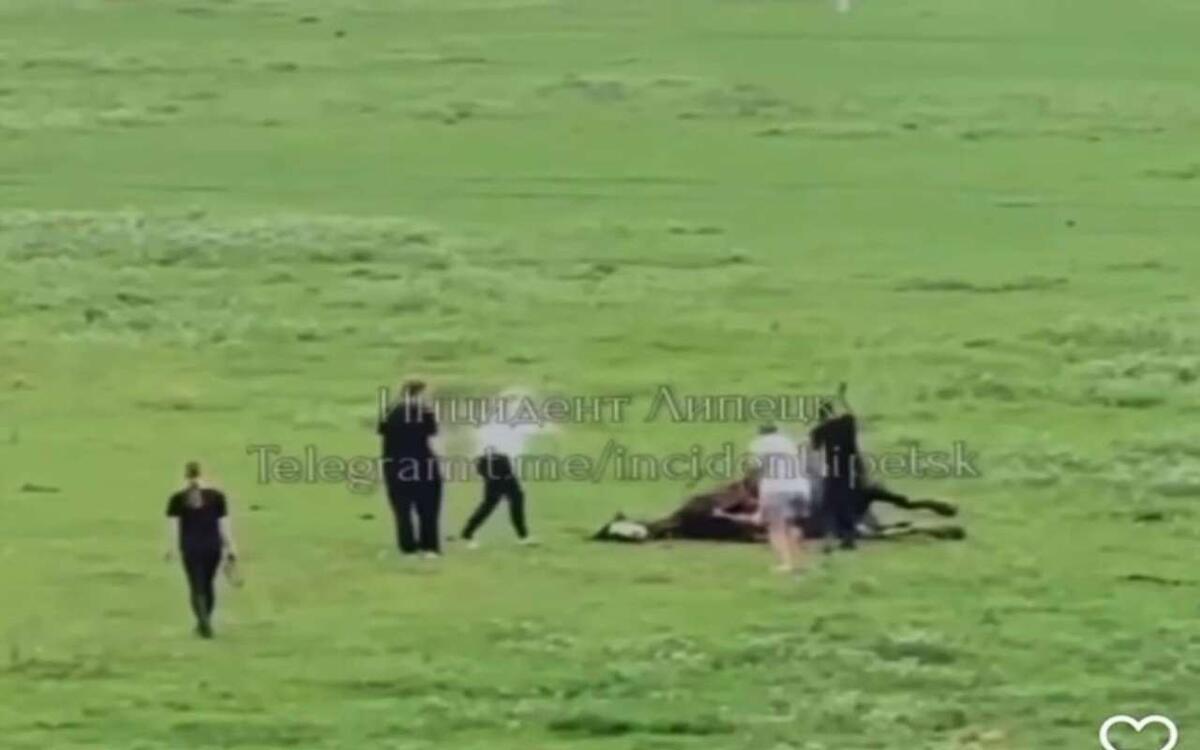    Помощь или жестокость: видео с липецкой «Кудыкиной горы» вызвало споры о допустимости методов спасения животных Скриншот с личных социальных сетей Андрея Трофиминкова.