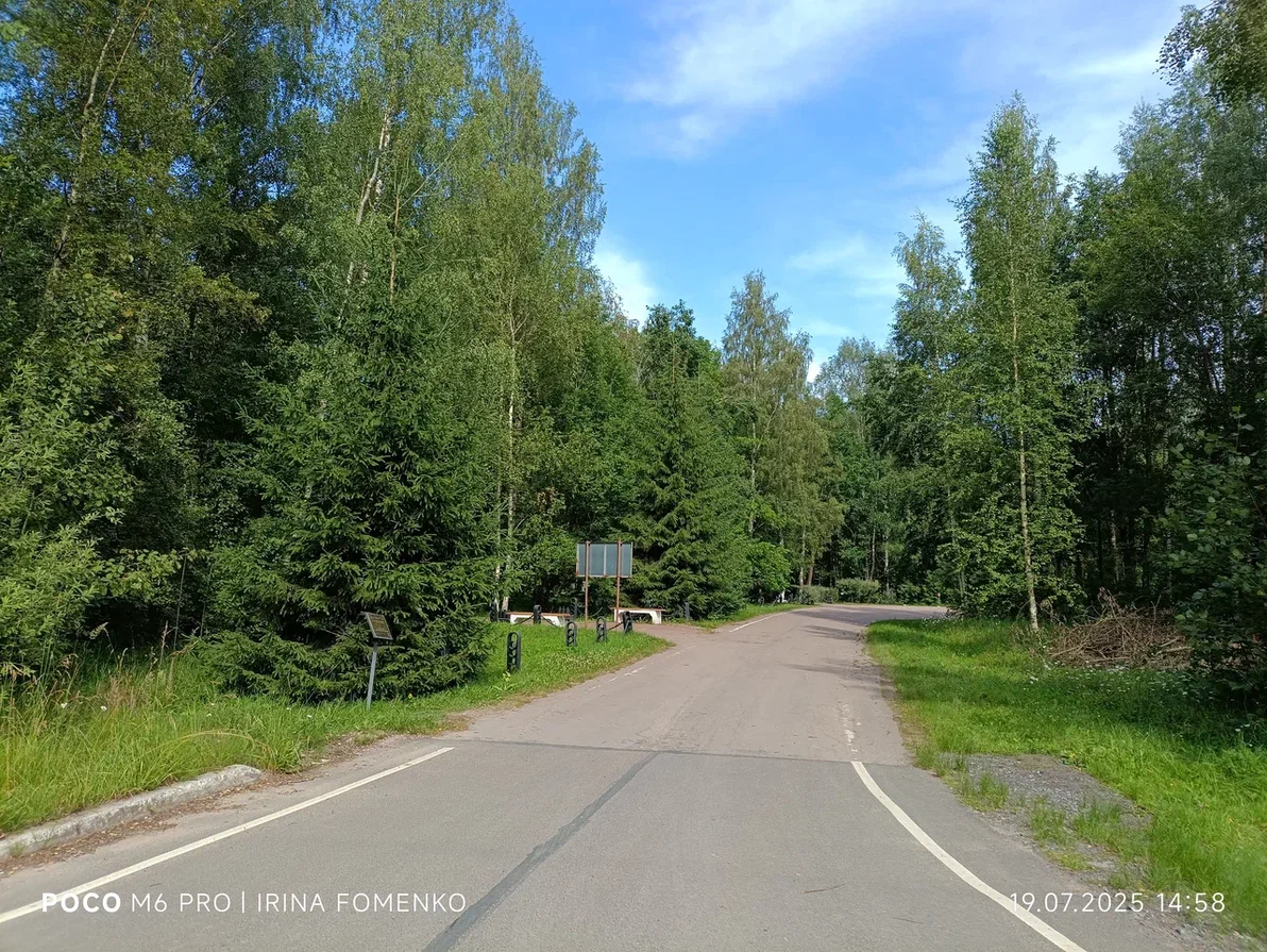 Мемориал "Синявинские высоты". Фото автора