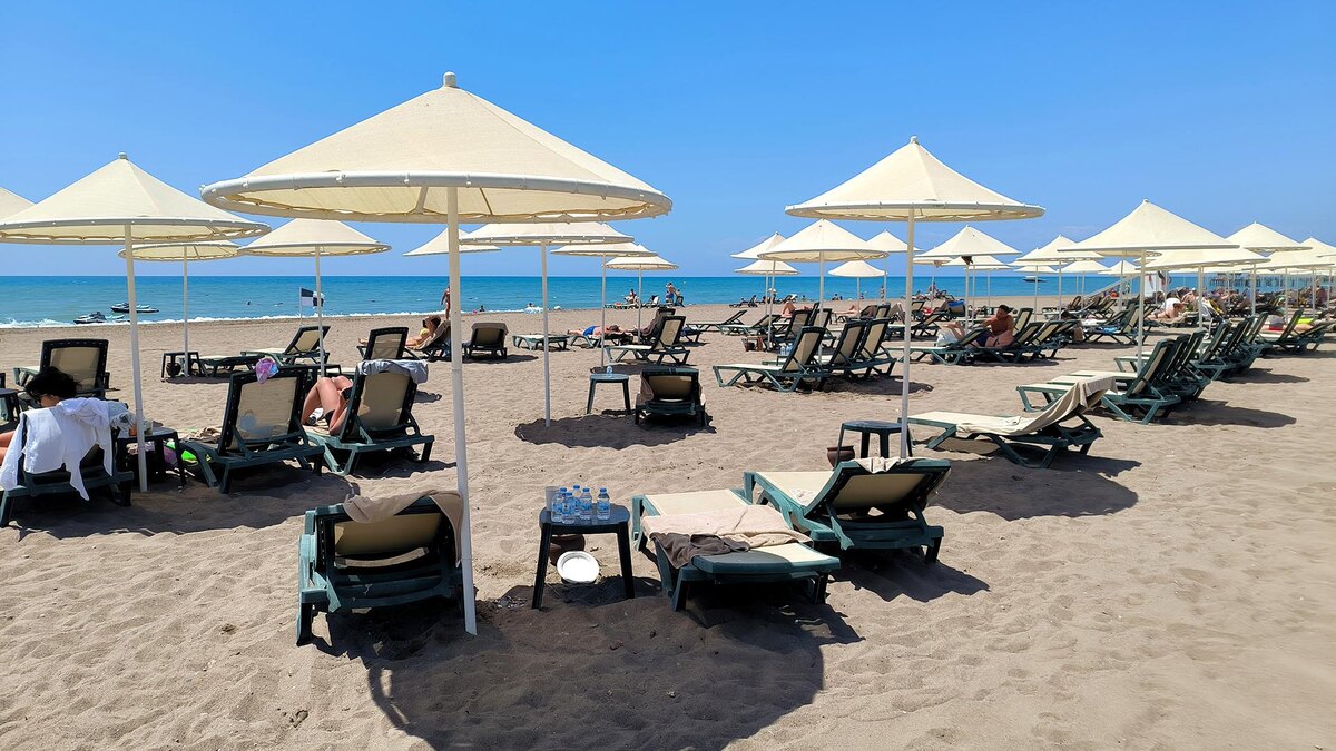 Фото: Maksim Konstantinov/globallookpress.com