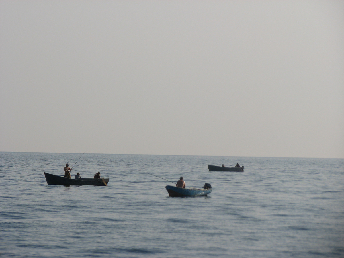 На Черном море лучше рыбачить с лодки...