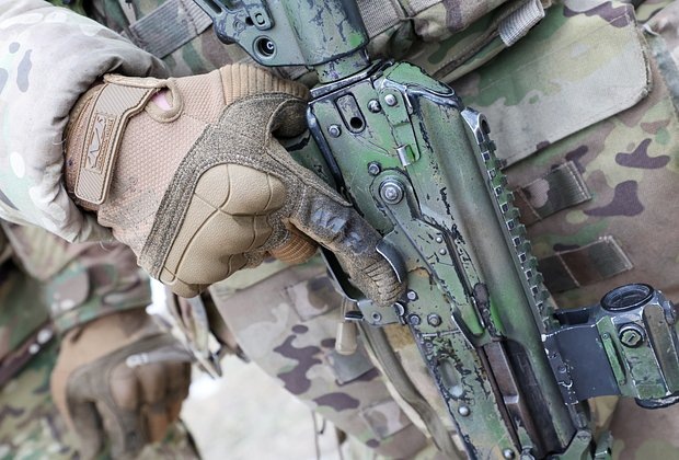    Фото: Belkin Alexey / Globallookpress.com