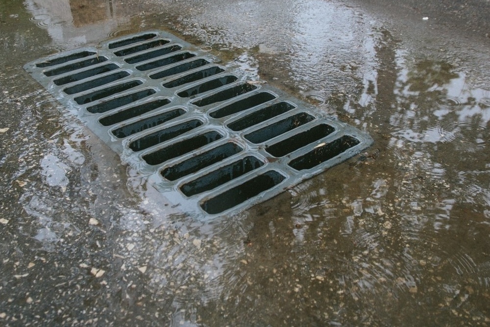 Ливневка. фото из открытых источников.