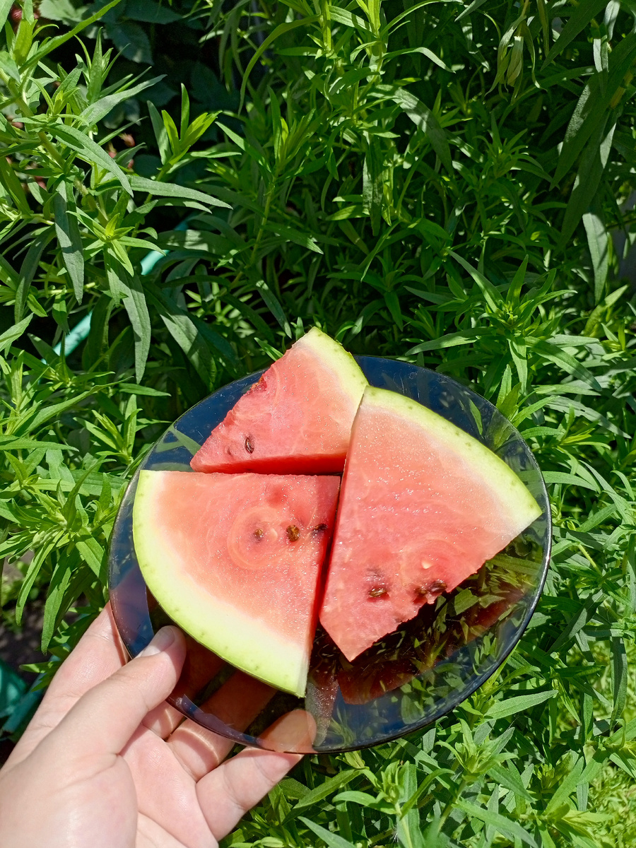 Фото автора канала