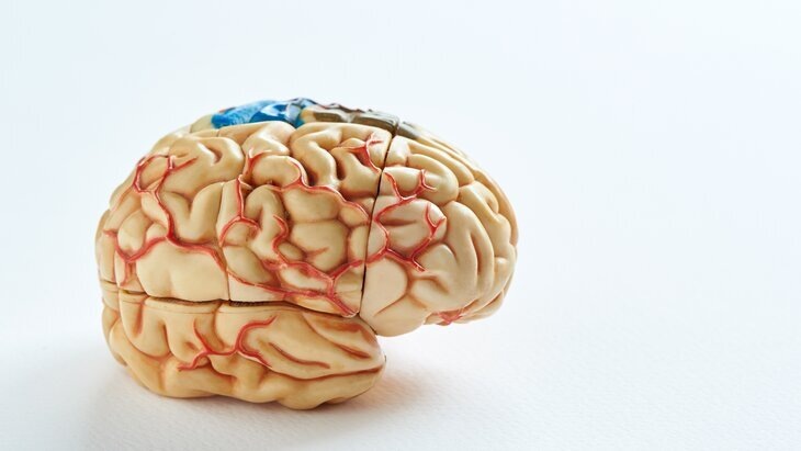    Фото: 123RF/teeradej