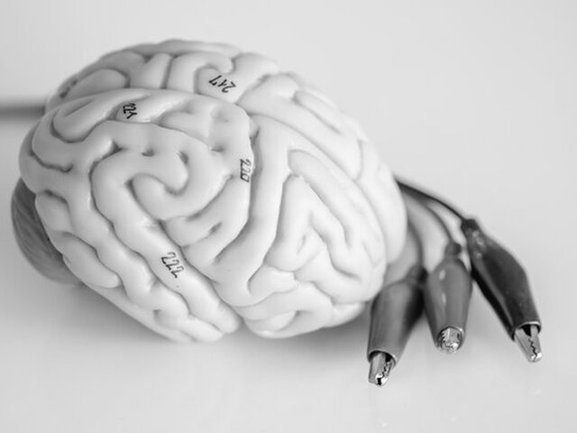    Фото: 123RF/Фото: 123RF/tinydevil