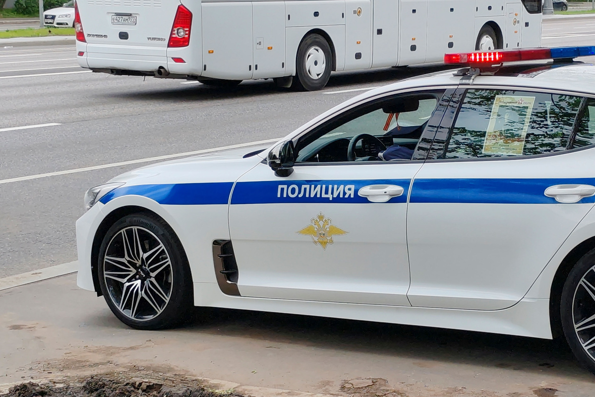 У пяти машин обнаружены признаки перебитых номерных агрегатов.  Фото: Фото: ФедералПресс / Денис Коробейников