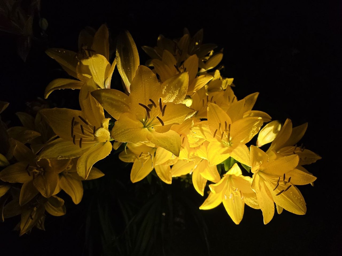 Дар Безусловной Любви — слушать и внимать. Фото из открытых источников 