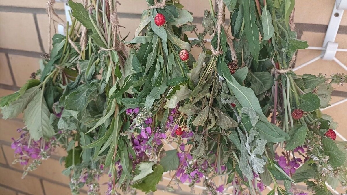     Автор: Анна Скудаева Источник: 1MI