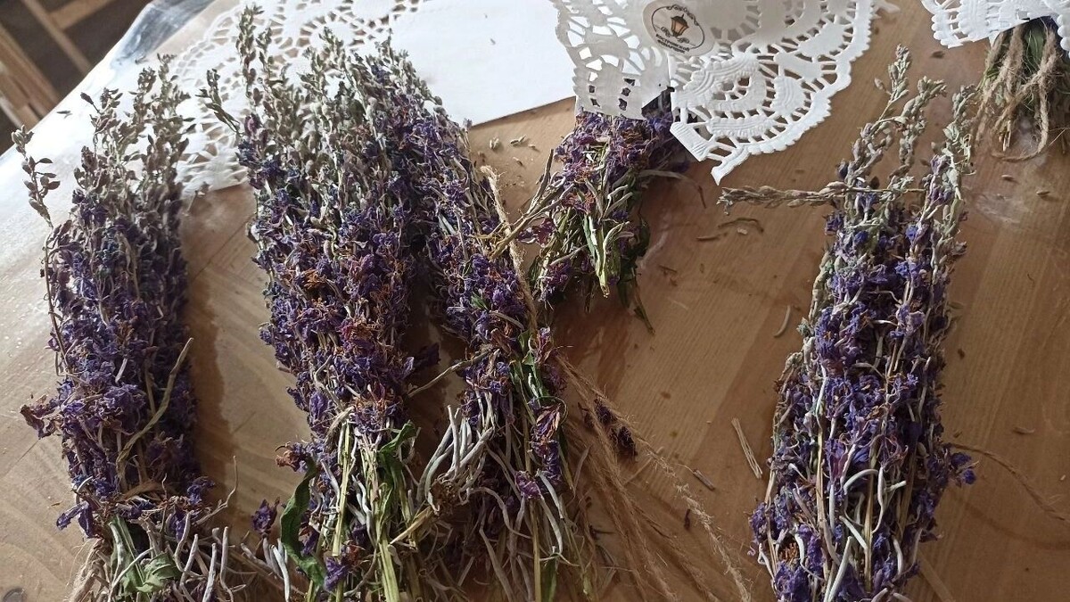     Автор: Анна Скудаева Источник: 1MI