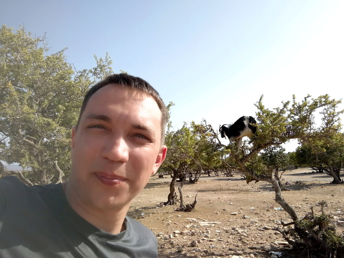 Как ни старался выбрать ракурс, все равно похоже на фотомонтаж