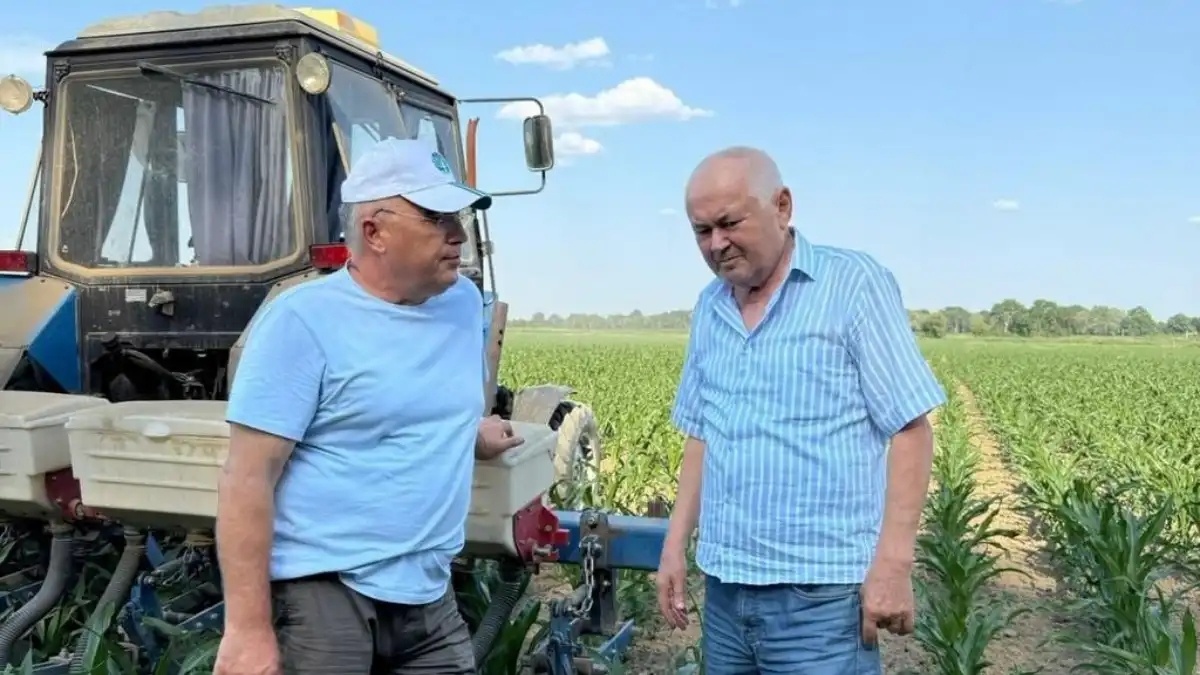 Фото:Telegram-канал Минсельхозпрод ДагестанаХозяйство Вымпел-2002 показало рекордные показатели по сбору кукурузы